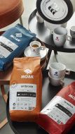 MOAK, "Premium" b&ouml;gre
